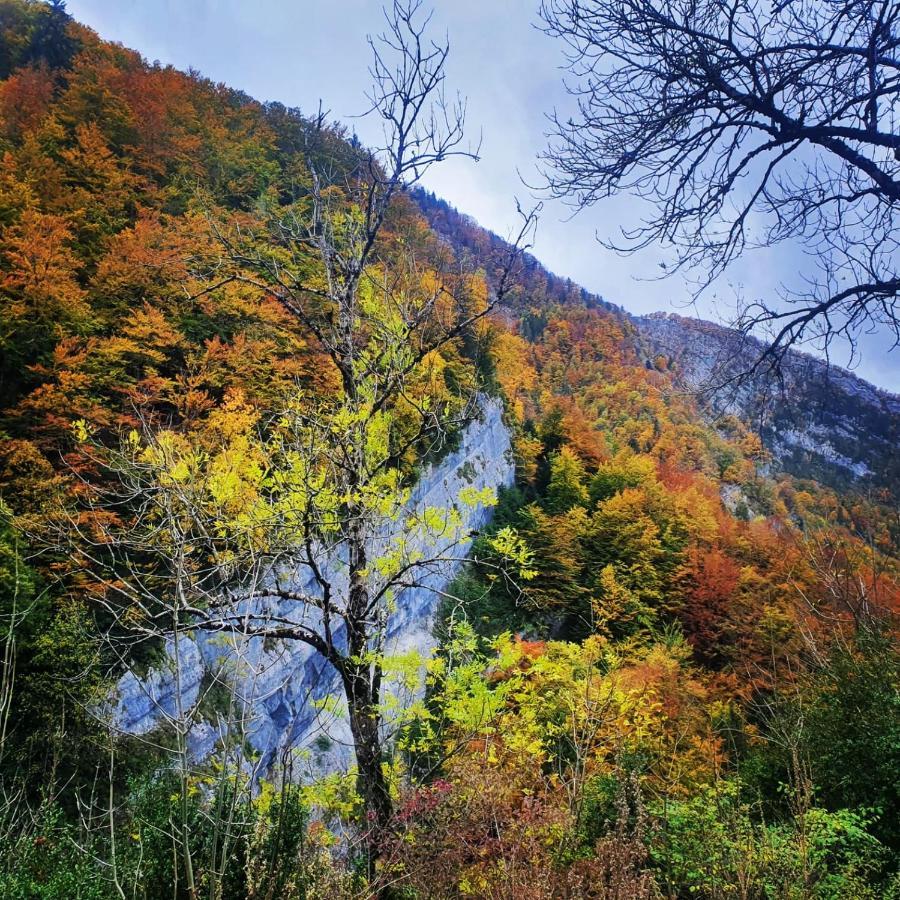 Gite Les Moulins Septmoncel-Les-Molunes Bagian luar foto